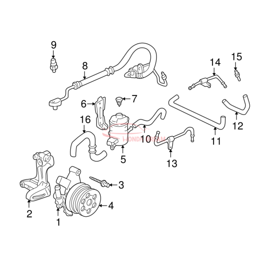 Hose, Power Steering Feed (53713-S10-505) - 3