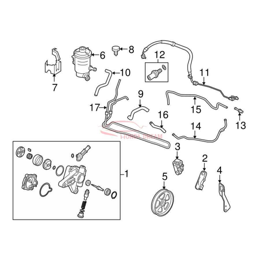 Hose, Power Steering Feed (53713-TP6-A01) - 3