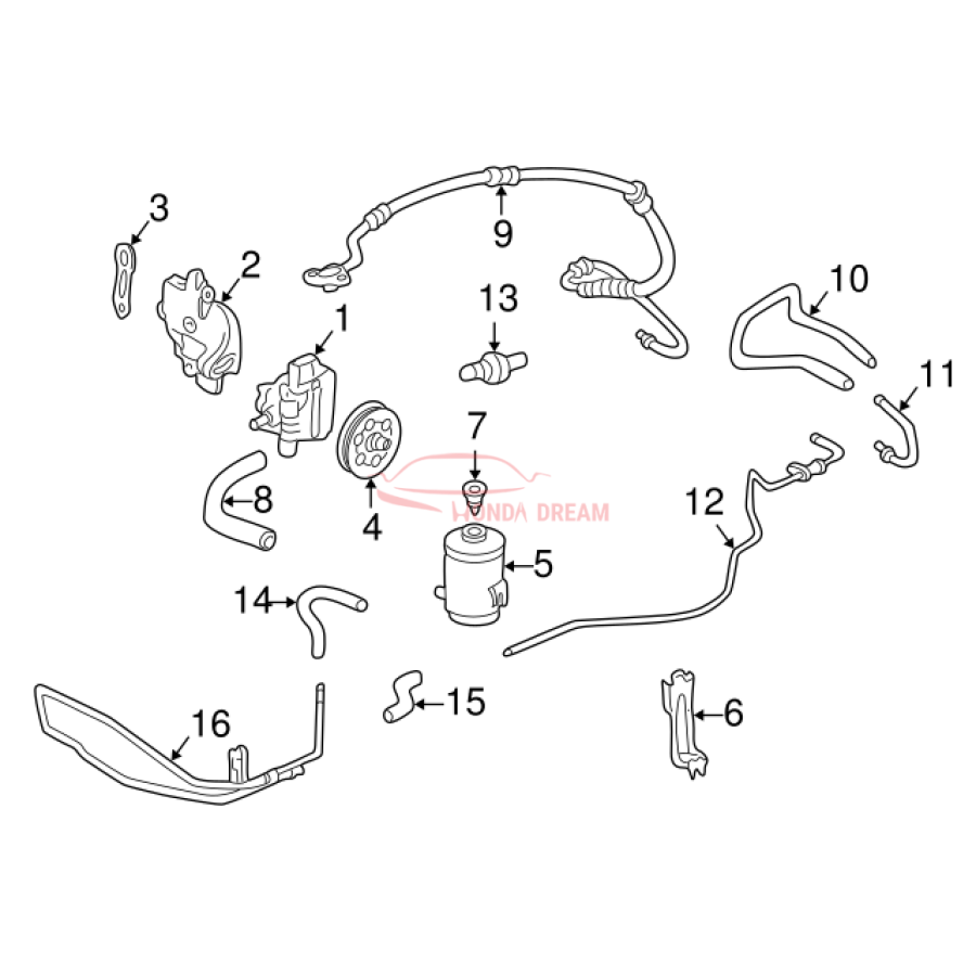 Hose, Oil Tank (53733-S84-A01) - 3