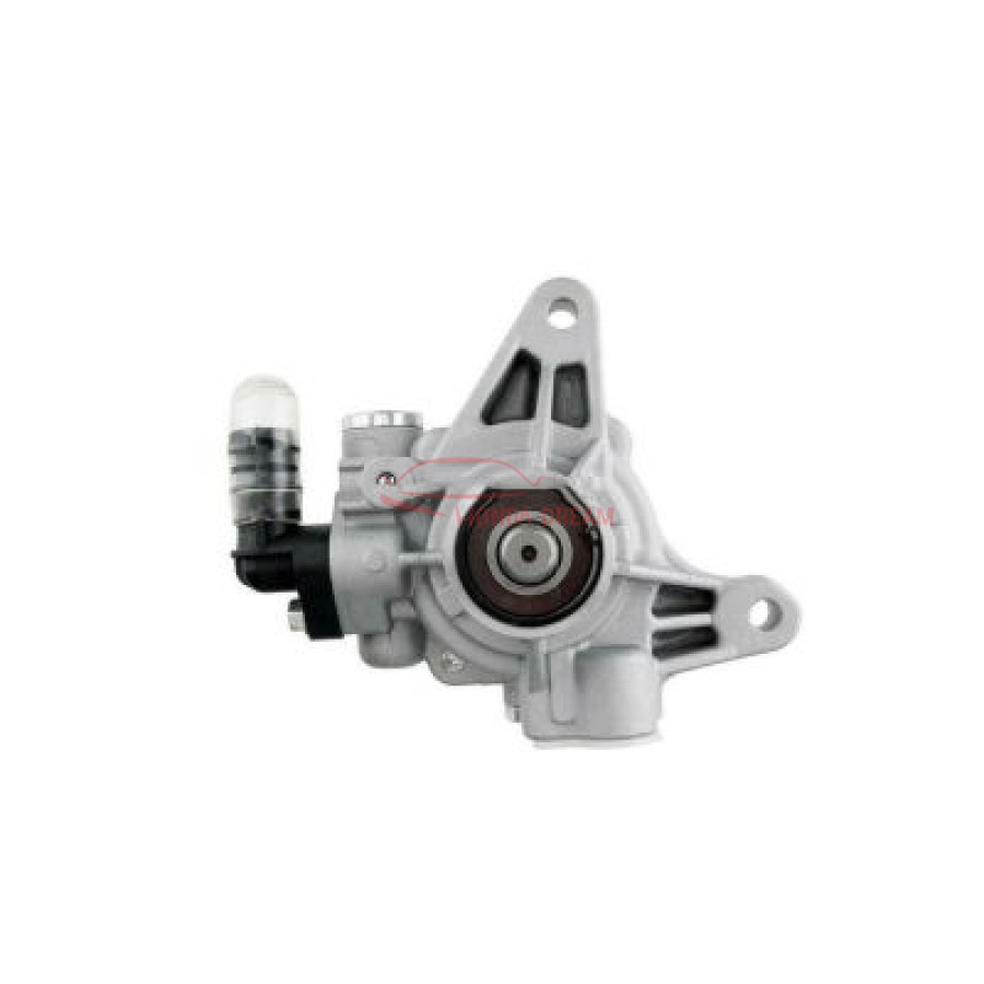 Pump, Power Steering (56110-PND-A02) - 1