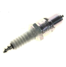 Spark plug (9807955876)