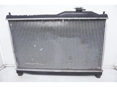 Радіатор системи охолодження двигуна (19010PCX003)