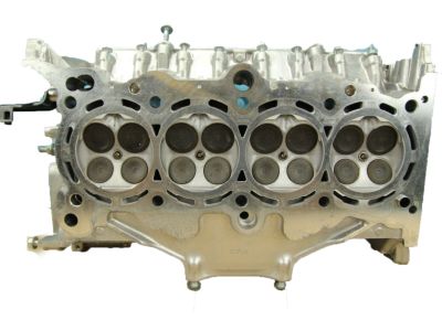 GENERAL ASSY., CYLIN (100035A2A10)