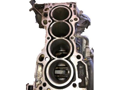 BLOCK ASSY,CYLN (11000RPYG02)