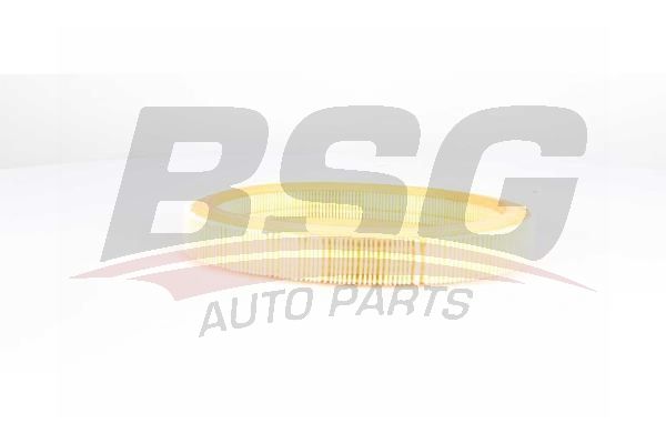 Фільтр повітряний BSG (BSG75135012)