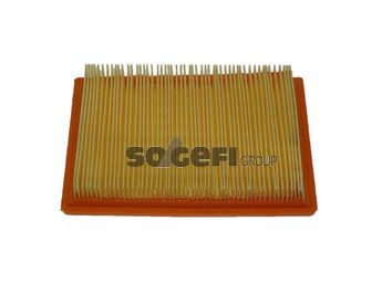 Фільтр повітряний Fram (CA5619)
